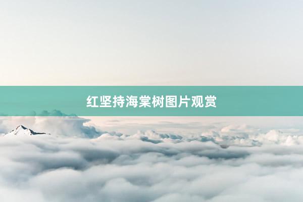 红坚持海棠树图片观赏