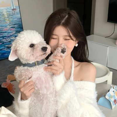 坟墓舞者海报